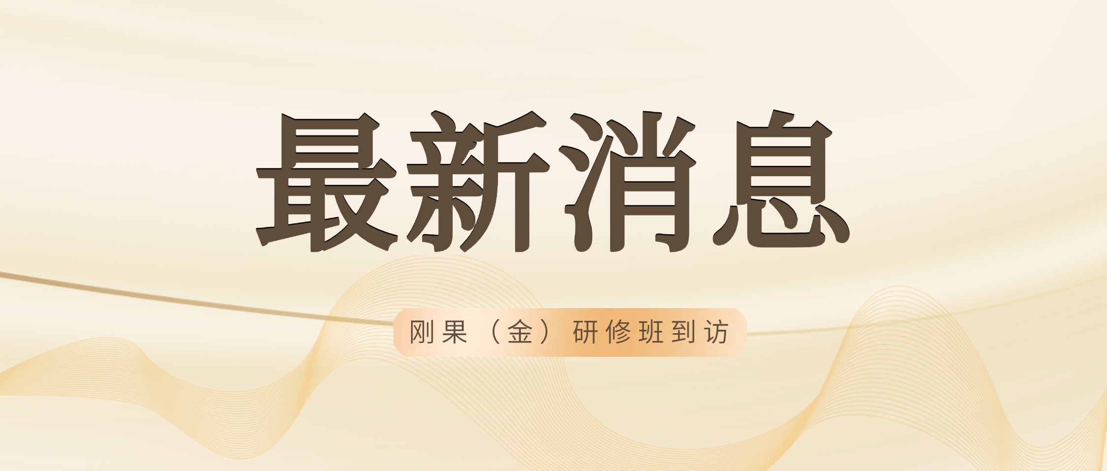 刚果（金）矿产开发与管理研修班到访金沙8087集团 共绘矿业合作美好未来